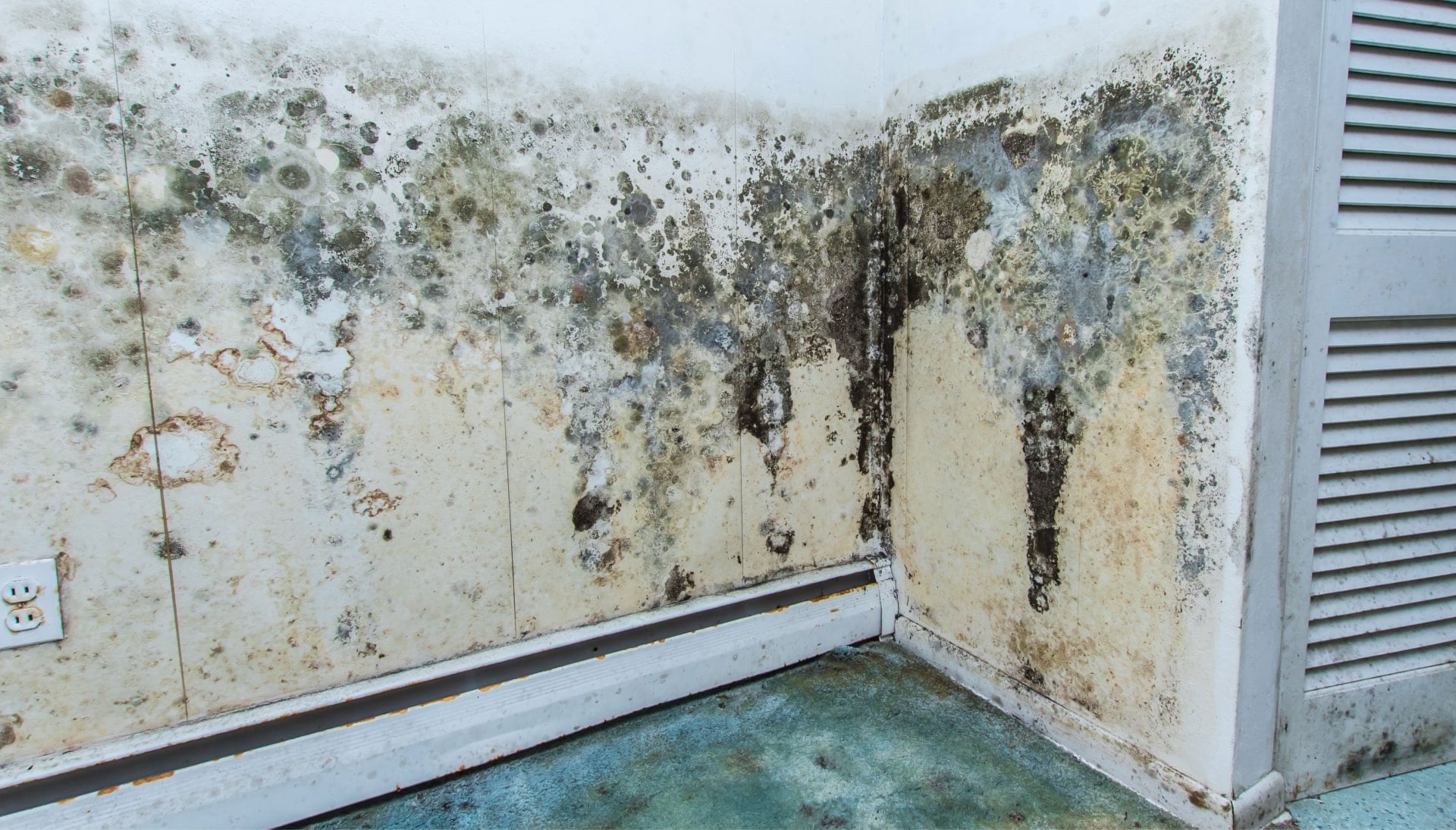 Professional mold removal, odor control, and water damage restoration service in Charleston, South Carolina.