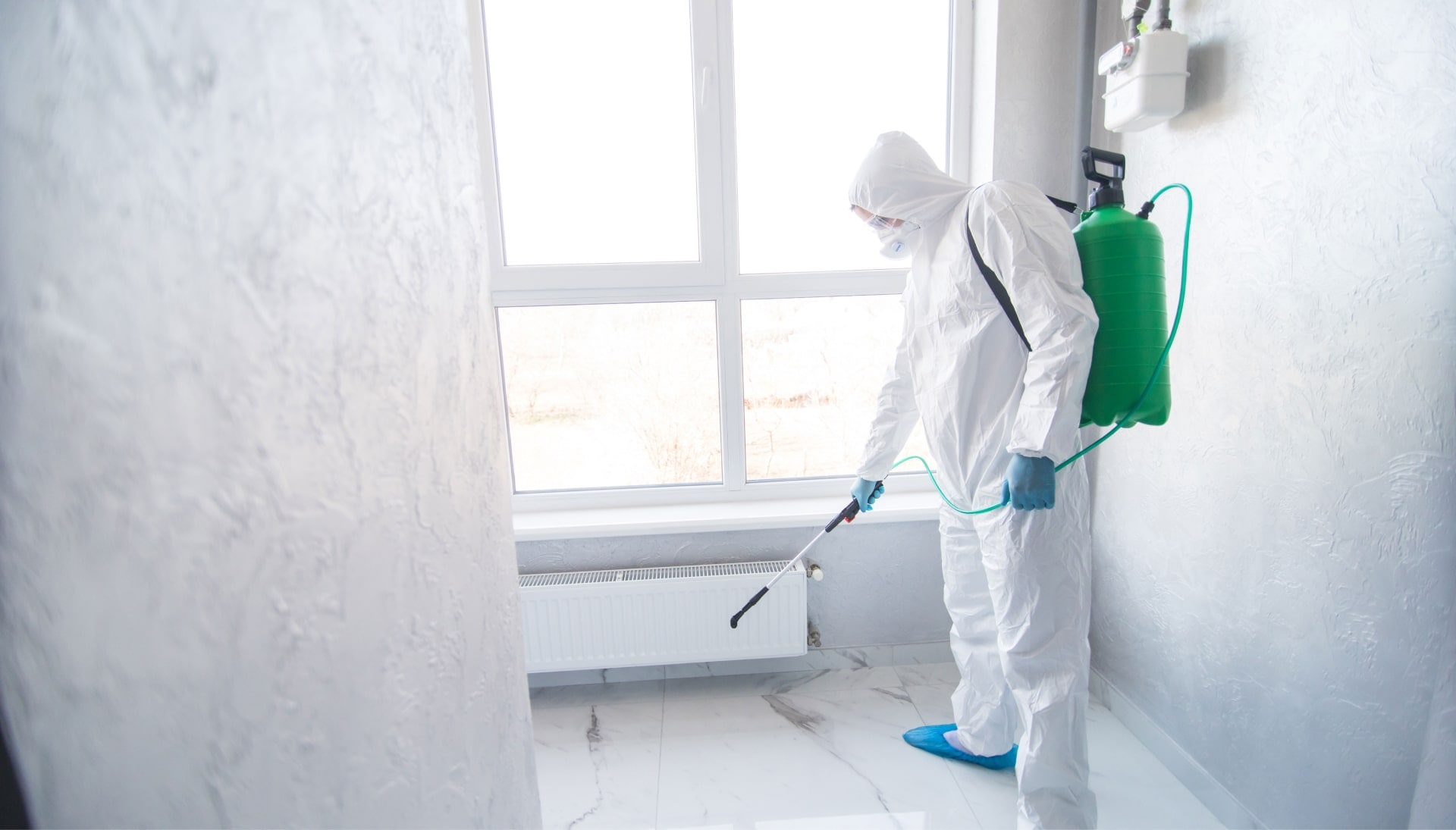 We provide the highest-quality mold inspection, testing, and removal services in the Charleston, South Carolina area.